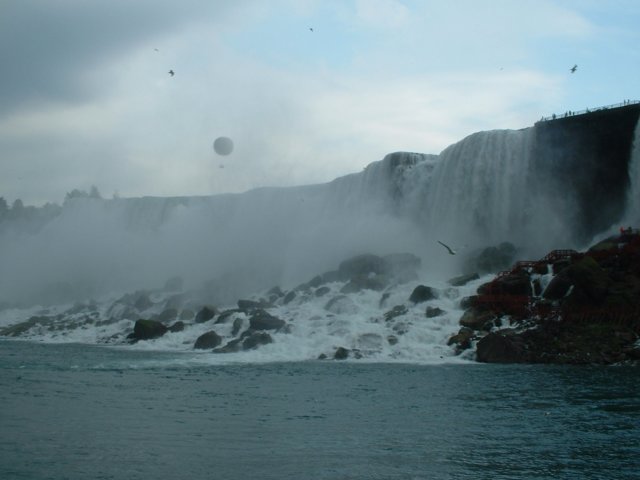 Photograph