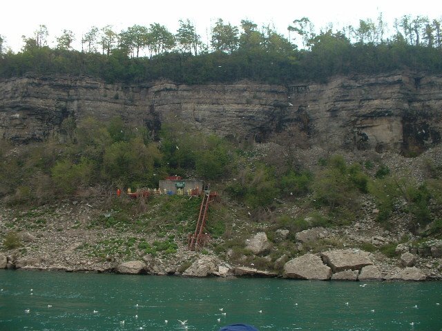 Photograph