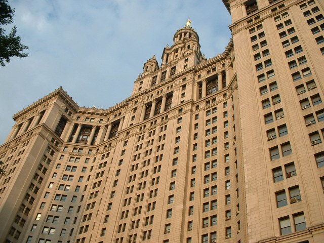 Photograph