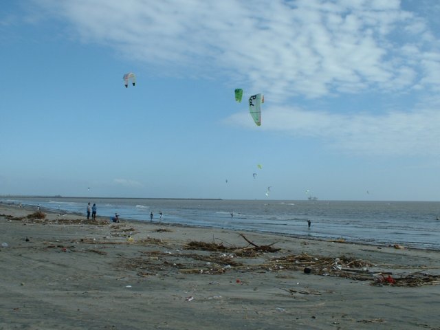 Photograph
