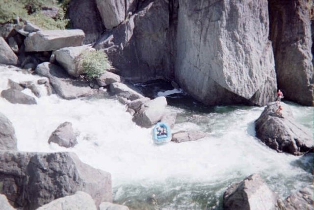 Photograph