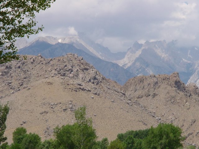 Photograph