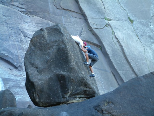 Photograph